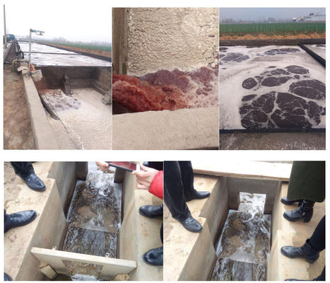 3 000 L/heure Bœuf Poulet Poule Halal Transformation de viande usine mobile de traitement des eaux usées pour abattoir