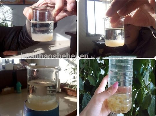 1 des composants de base Machine de séparation solide-liquide pour usine de traitement des eaux usées